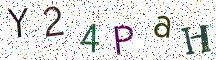 Y24PaH
