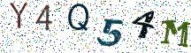 Y4Q54M