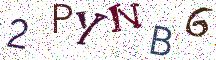 2PYNB6