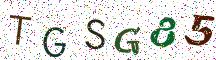 TGSG85