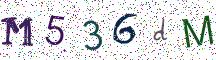 M536dM