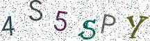 4S5SPY