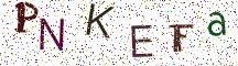 PNKEFa
