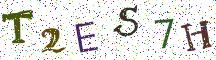 T2ES7H