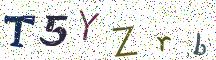 T5YZrb