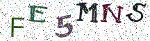 FE5MNS