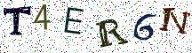 T4ER6N