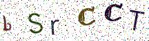 bSrCCT