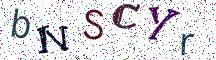 bNSCYr
