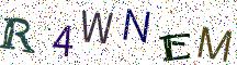 R4WNEM