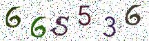 66S536