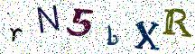 rN5bXR