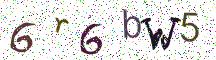 6r6bW5