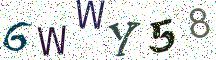 6WWY58