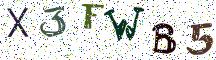 X3FWB5