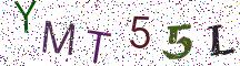 YMT55L