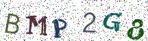 BMP2G8