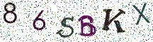 86SBKX