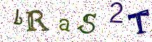 bRaS2T