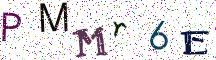 PMMr6E