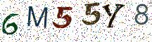 6M55Y8