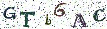 GTb6AC