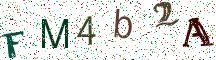 FM4b2A