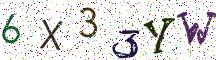 6X33YW