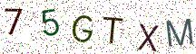 75GTXM