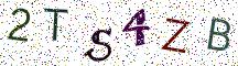 2TS4ZB