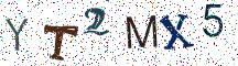 YT2MX5