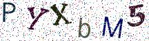 PYXbM5
