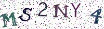 MS2NY4