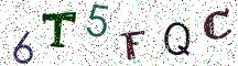 6T5FQC