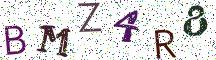 BMZ4R8
