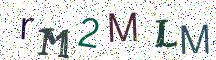 rM2MLM