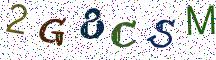 2G8CSM