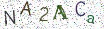 NA2ACa