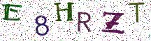 E8HRZT