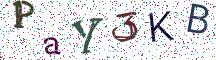 PaY3KB