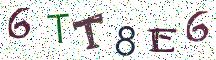 6TT8E6