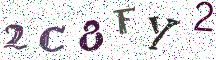 2C8FY2