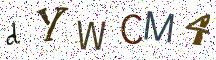 dYWCM4