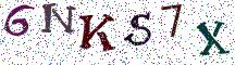 6NKS7X
