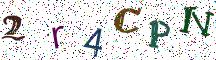 2r4CPN