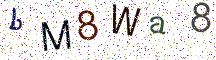 bM8Wa8