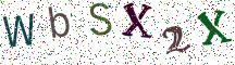 WbSX2X