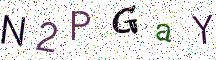 N2PGaY