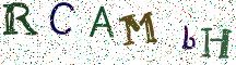 RCAMbH