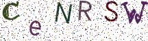 CeNRSW